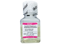 OriCell™ Penicillin-Streptomycin-Amphotericin B Solution (100X)-APSB-10001