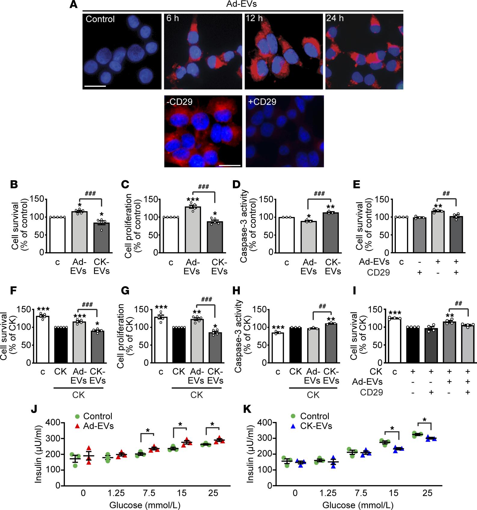 Extracellular vesicles effects on &beta;-cell survival and function