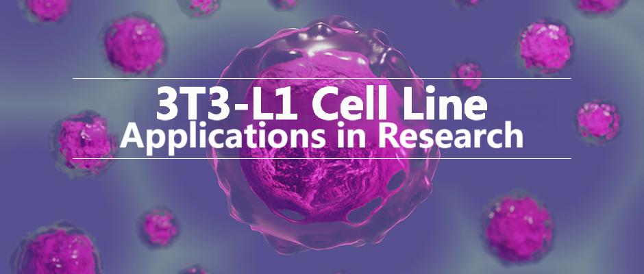 3T3-L1 applications