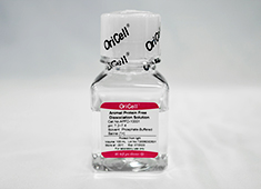 OriCell™ Penicillin-Streptomycin Solution (100X)-ATPS-10001