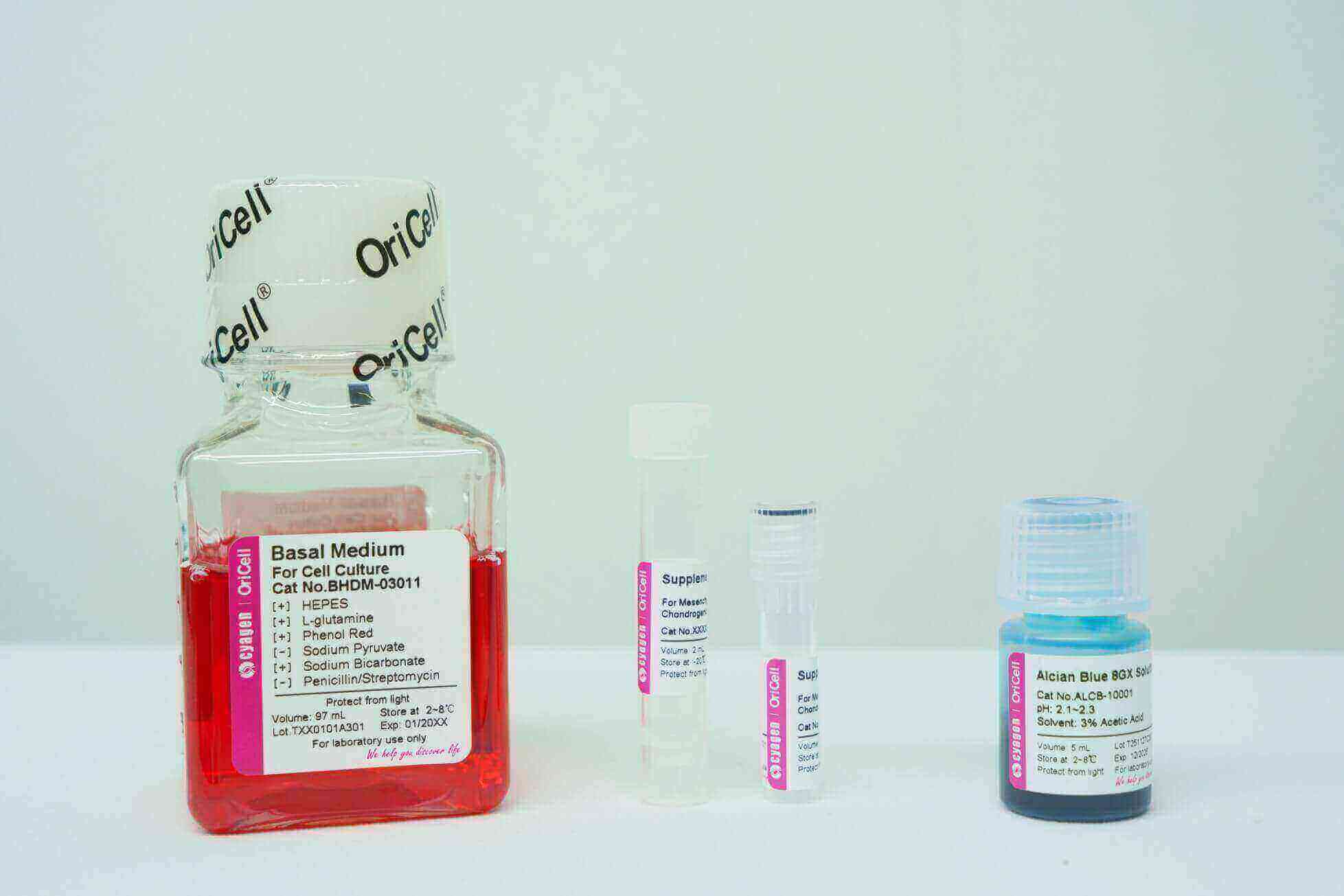 Chondrogenic Differentiation Medium For ATDC-5 Cells-CLATD-90041