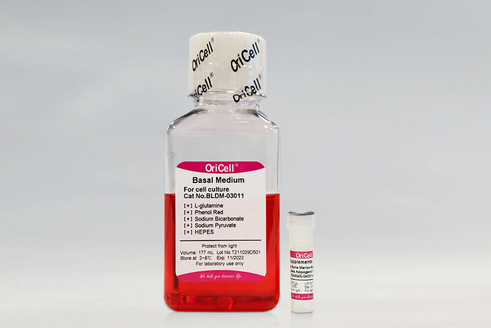Complete Medium For NK-92 Cell Line