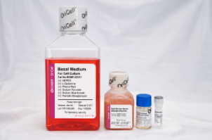 Complete Medium For AML12 Cell Line