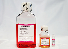 Complete Medium For Min6 Cell Line