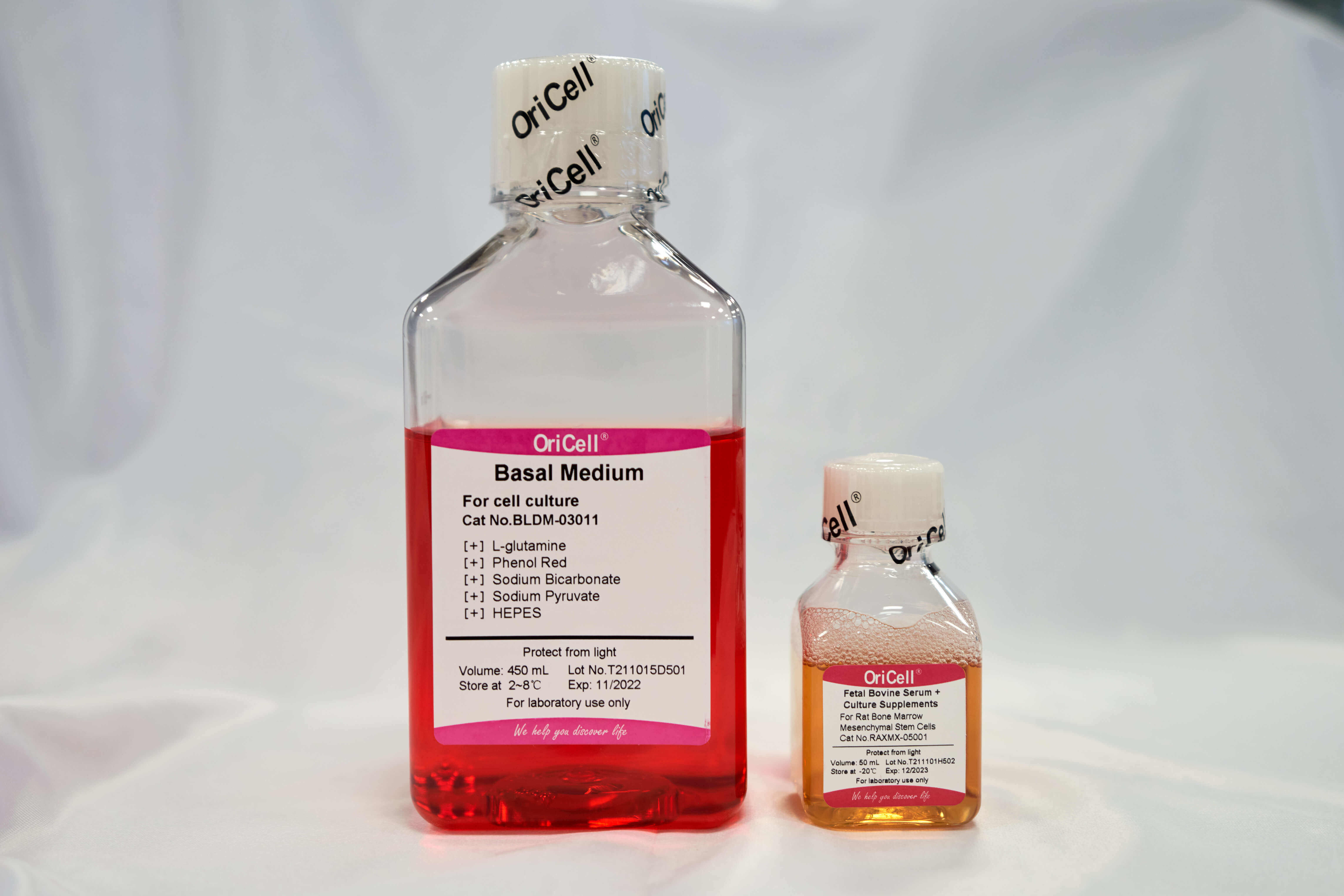 Complete Medium For B16-F10 Cell Line-CMM5-0801