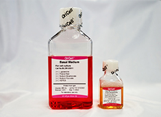 Complete Medium For A20 Cell Line