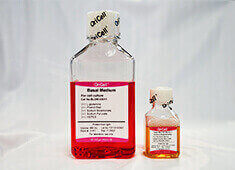 Complete Medium For MC3T3-E1 Subclone 24 Cell Line
