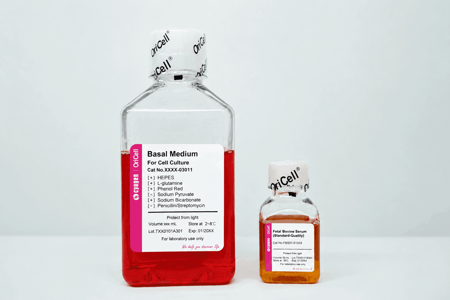 Complete Medium For 3D4/21 Cell Line