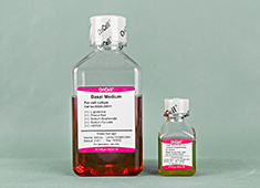 Cell Line Complete Media
