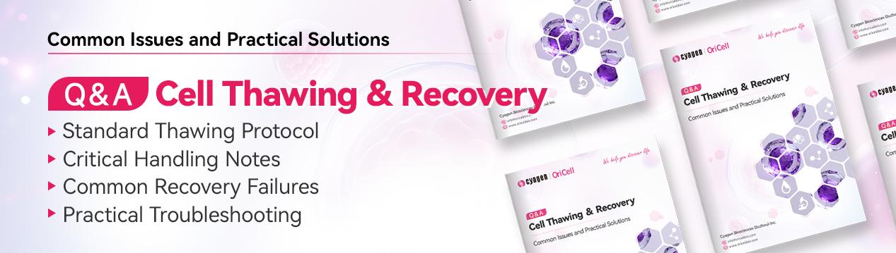 Cell Thawing & Recovery FAQ