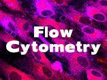 Application of Flow Cytometry in Preclinical CAR-T Development