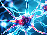 Research Notes: How to Perform Successful Gene Editing & Cell Culturing with SH-SY5Y Cells