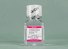 0.1% Gelatin Solution