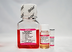 Myotube Differentiation Medium For Muscle Cells-GUXMC-90401