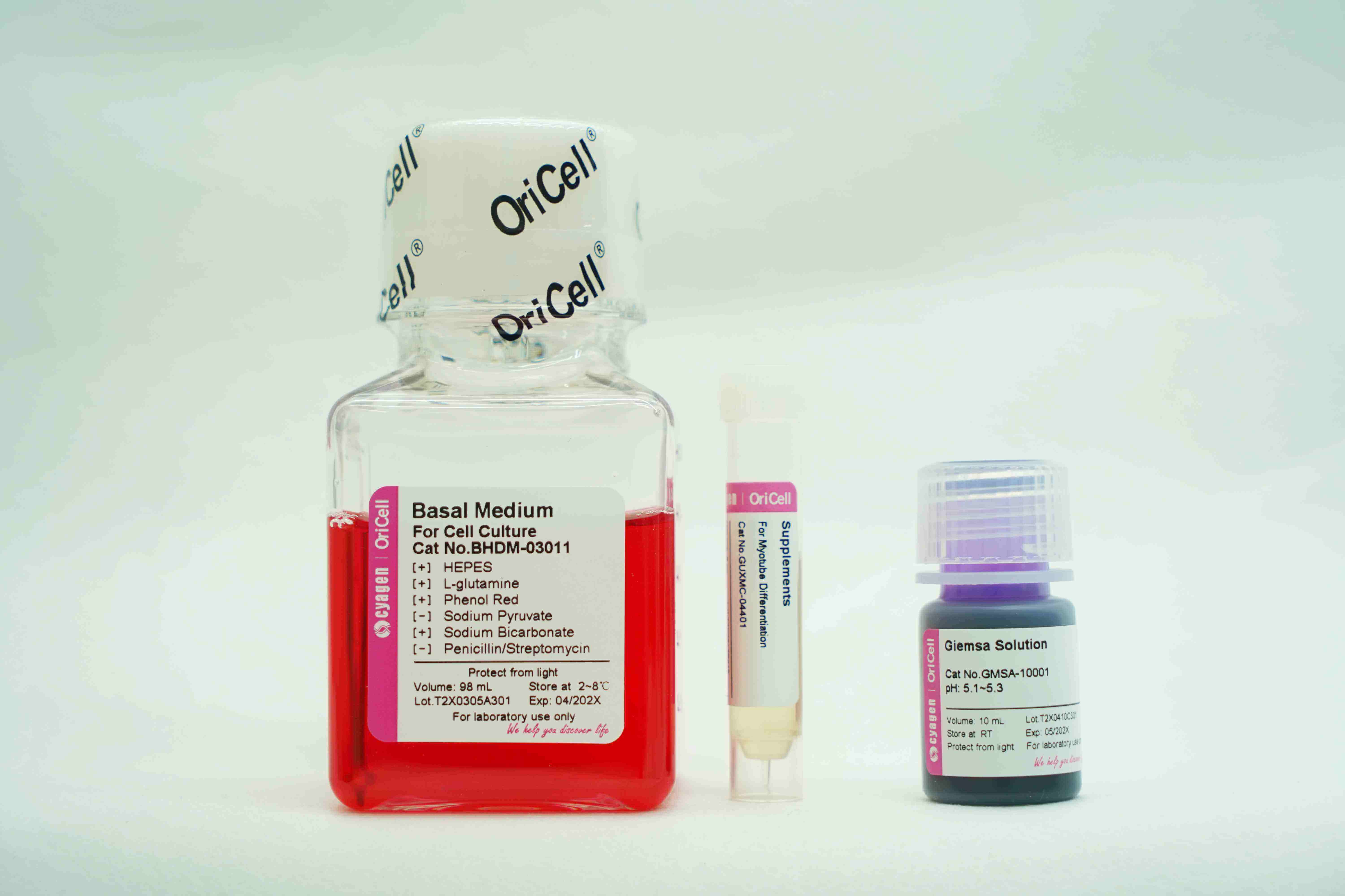 Myotube Differentiation Medium For Muscle Cells-GUXMC-90401