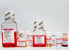 Adipogenic Differentiation Medium For Adipose-derived Mesenchymal Stem Cells (Multipurpose)