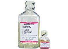 OriCell™ Serum Free Medium For Human Bone Marrow Mesenchymal Stem Cells (Type II, Phenol Red-Free)-HUXMA-90063