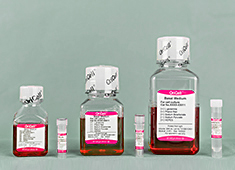 Hepatogenic Differentiation Media