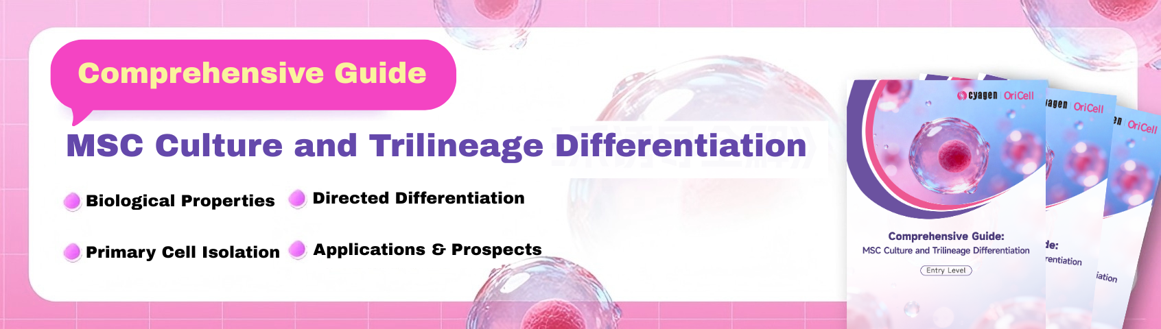 MSC Culture & Trilineage Differentiation Guide