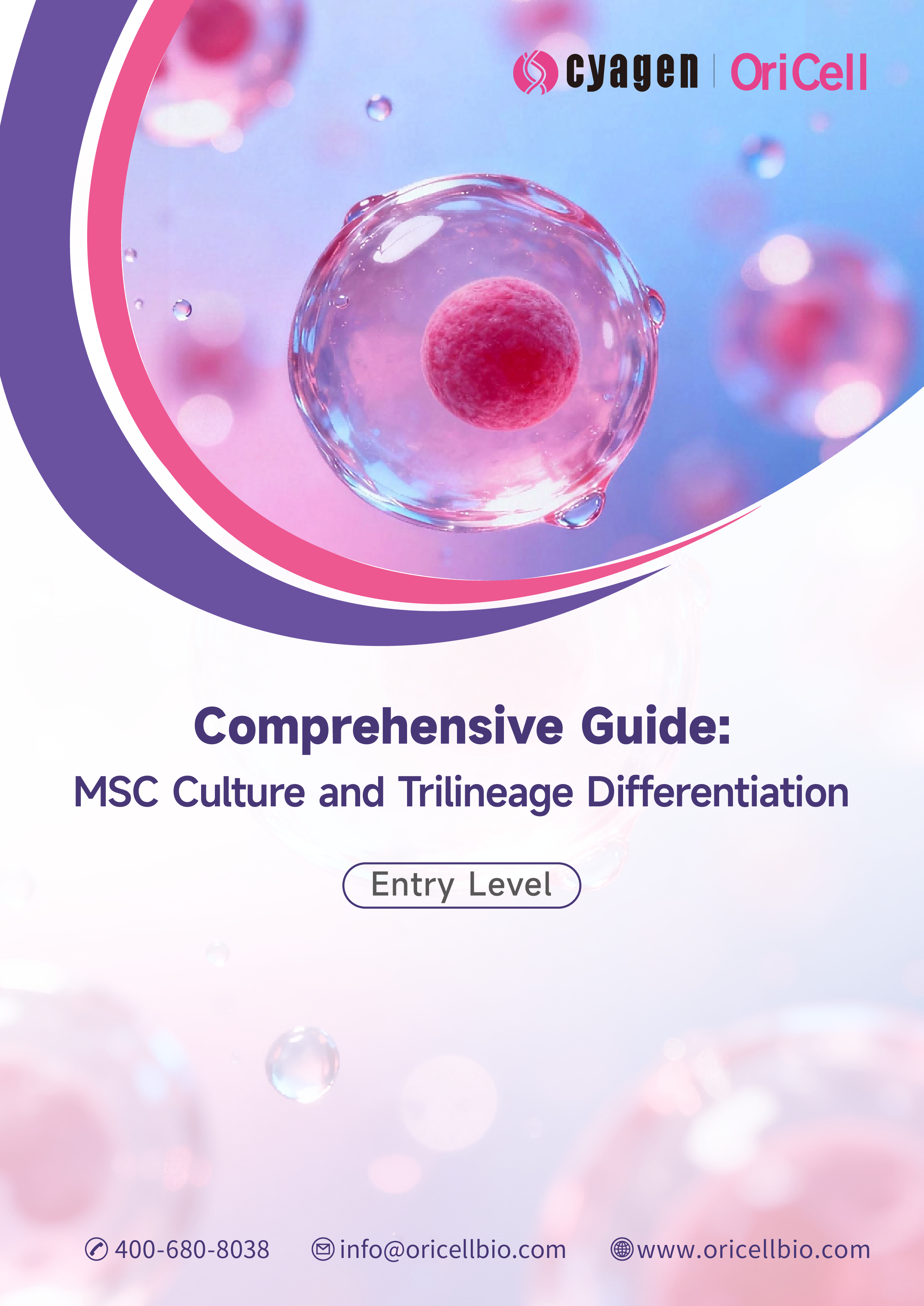 Download the Comprehensive MSC Culture and Tri‑lineage Differentiation Guide (PDF): SOPs, Protocols, and Troubleshooting