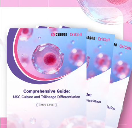 Free Download: Mesenchymal Stem Cells — Complete Guide to Culture and Trilineage Differentiation