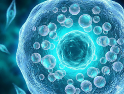 Trilineage Differentiation and Identification of Mesenchymal Stem Cells (MSCs)