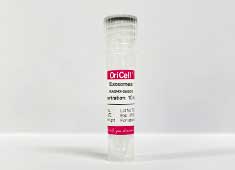 C57BL/6 Mouse Adipose-derived Mesenchymal Stem Cell Exosomes