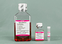 Complete Medium For Mouse Embryonic Stem Cells