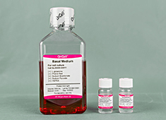 Serum Free Medium For Mouse Embryonic Stem Cells (Type II, Feeder-free)