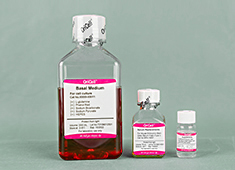 Serum Free Medium For Mouse Embryonic Stem Cells (Type I, With Feeder Layer)