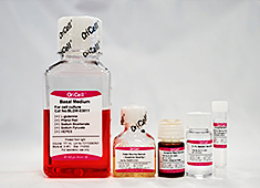 Osteogenic Differentiation Medium For Mouse Adipose-derived Mesenchymal Stem Cells