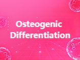 How to Achieve Stunning Alizarin Red S Staining in Osteogenic Differentiation