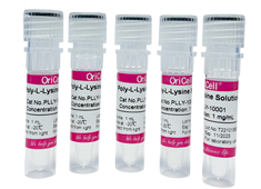 Poly-L-lysine Solution