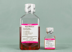 Complete Medium For Rat Cortical Astrocytes
