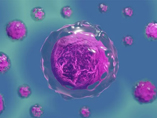A Guide to Stem Cell Research: Disease Models and Clinical Applications in 2020