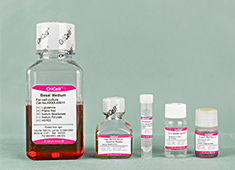 Somatic Cell Differentiation Media